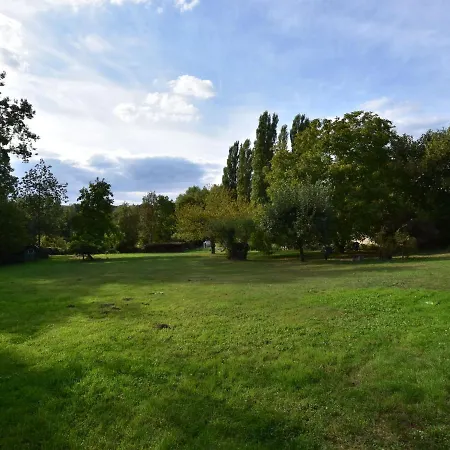 Modern Mansion In With Private Garden