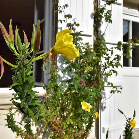 Modern Mansion In With Private Garden Ferienhaus Machemont