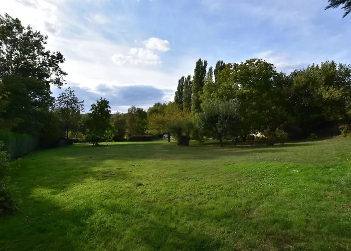 Modern Mansion In With Private Garden