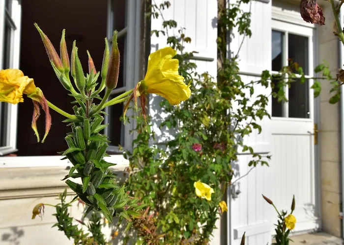 Modern Mansion In With Private Garden Vakantiehuis Machemont